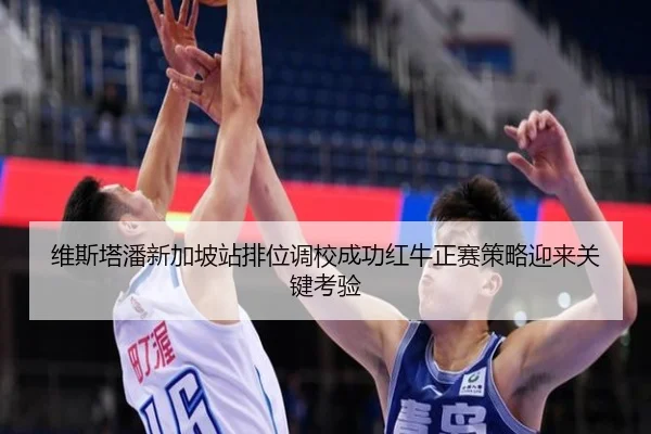 维斯塔潘新加坡站排位调校成功红牛正赛策略迎来关键考验